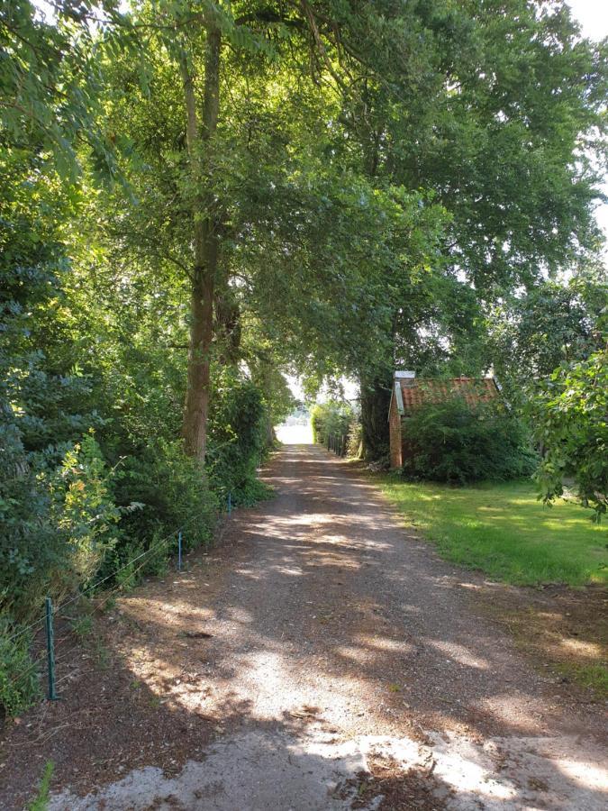Westert Hoeve Vriescheloo Exterior photo